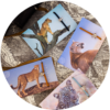 Lion Bracelet - Image 2