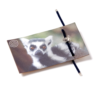 Lemur Bracelet