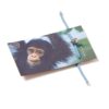 Chimp Bracelet