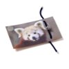 Red Panda Bracelet