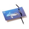 Shark Bracelet