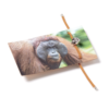 Orangutan Bracelet